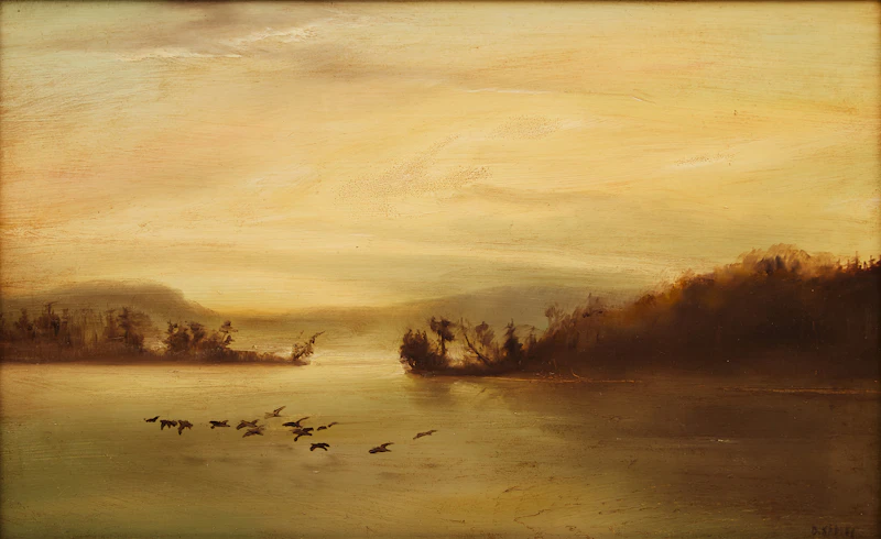 Birds in Flight by Dusan Kadlec