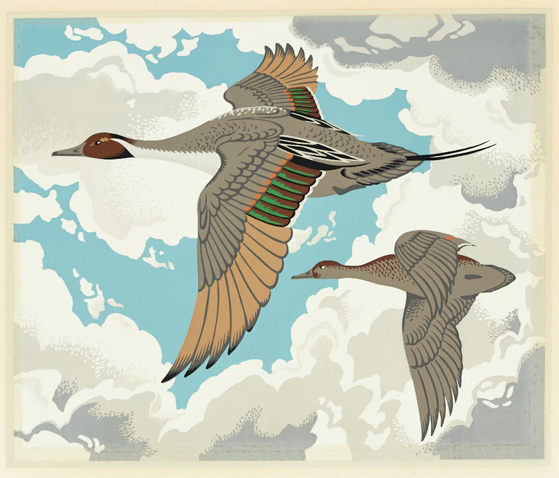 Alfred Joseph Casson, Pintail