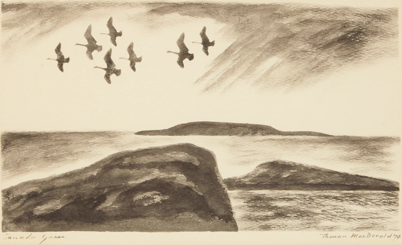 Canada Geese; Rapids at Night III by Thoreau MacDonald