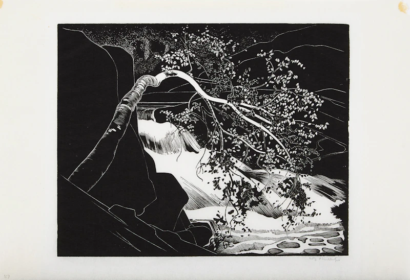 Walter Joseph Phillips, Rushing River, Lake of the Woods (1931), woodcut, 1931 - view 2