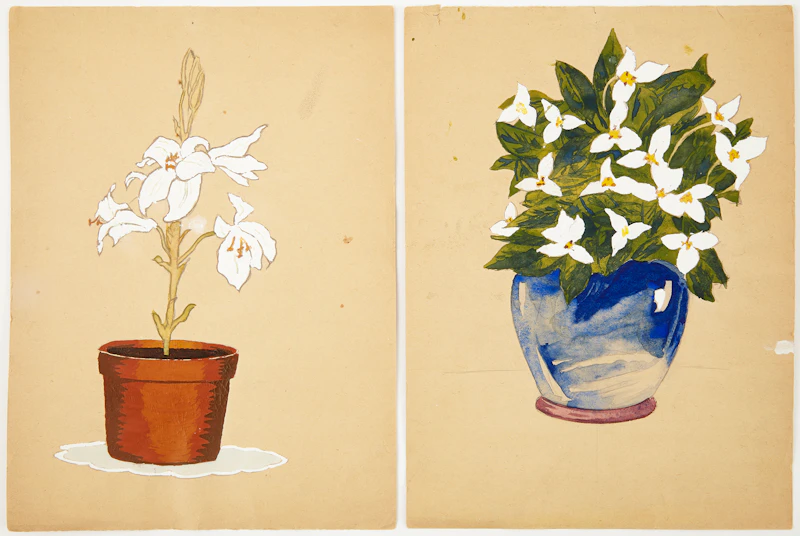 Eugenia Berlin, Selection of Drawings, Sketches and Works on Paper