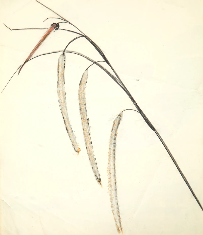 Eugenia Berlin, Selection of Drawings, Sketches and Works on Paper, mixed media on paper - view 50
