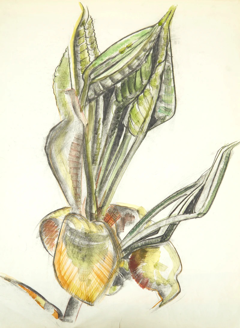 Eugenia Berlin, Selection of Drawings, Sketches and Works on Paper, mixed media on paper - view 53