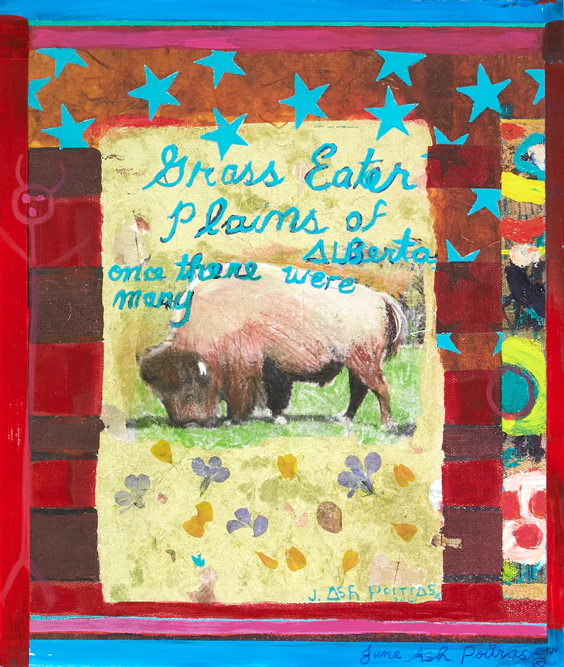 Grass Eater, Plains of Alberta, once there were many by Jane Ash Poitras