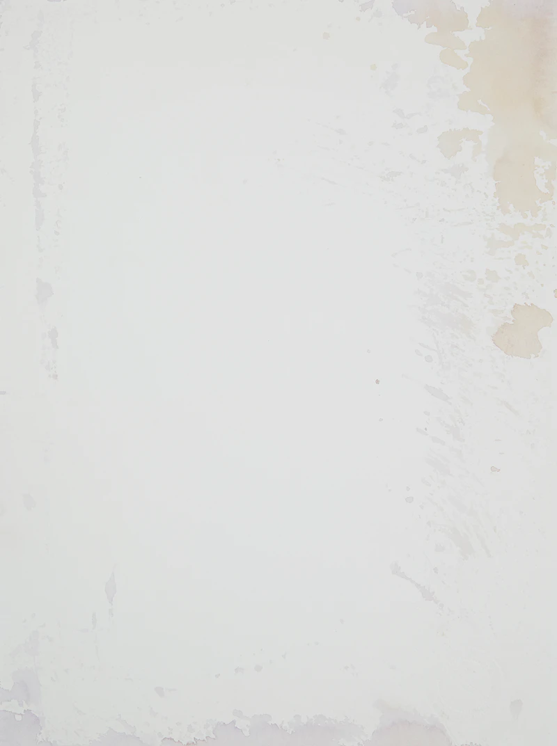 Carl Beam, Untitled - The Body of Christ, mixed media on paper - view 2