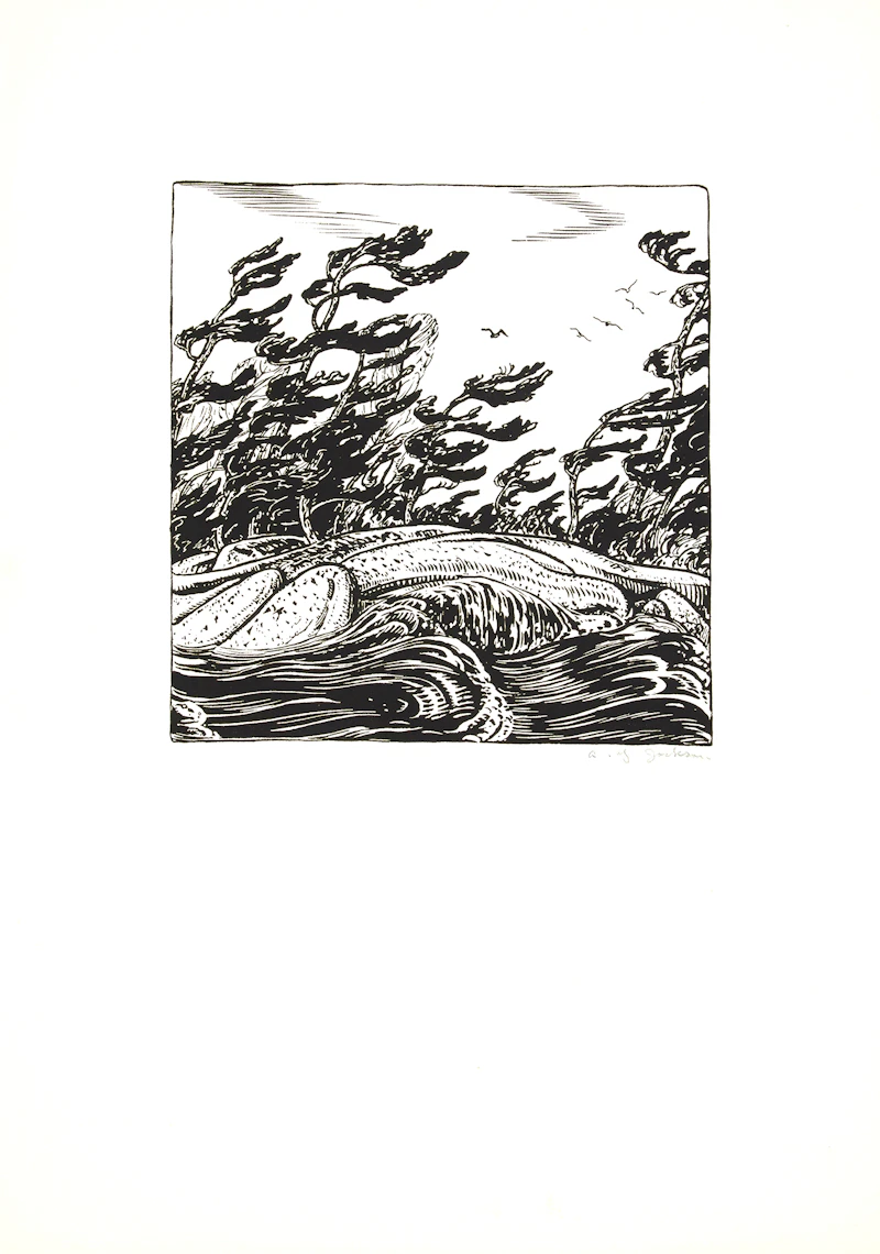 Books and Reference, Canadian Drawings: A Portfolio of Prints by Members of the Group of Seven, portfolio of 18 lithographs, 1925 - view 10
