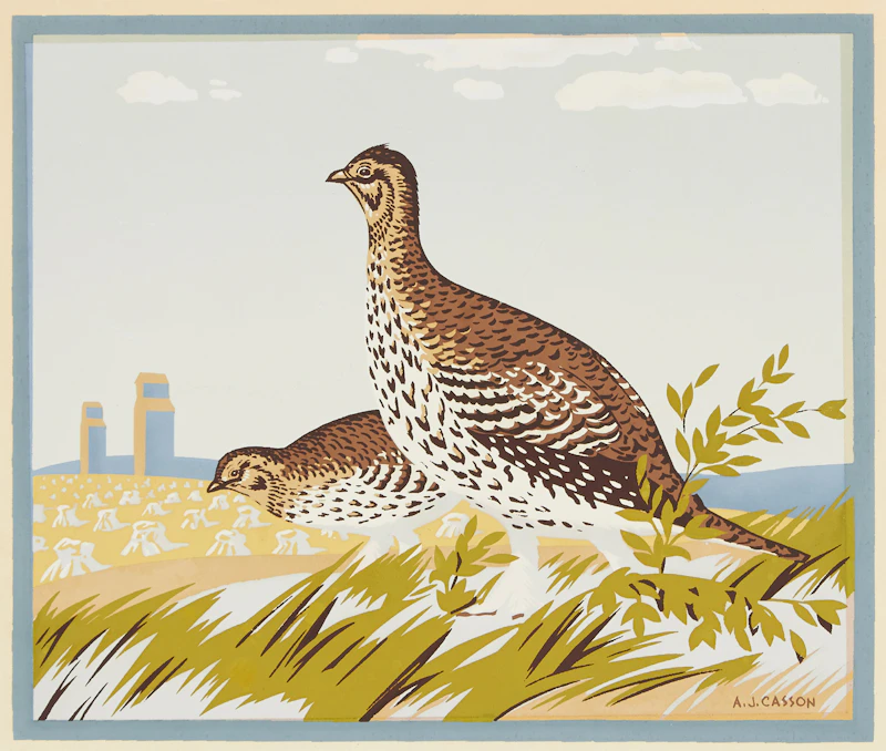 Alfred Joseph Casson, The Sharp Tailed Grouse