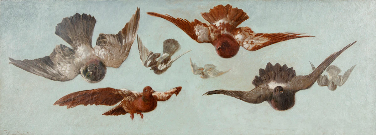 Thomas Mower Martin, Pigeons in Flight, oil on canvas
