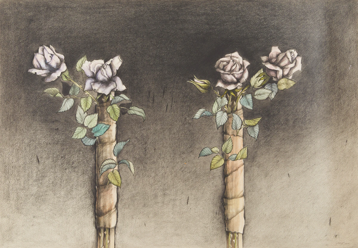 Frank Nulf, Roses on a Stick (Sydenham Rose Series), watercolur and graphite, 1990