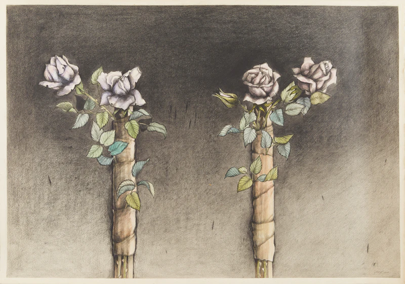 Frank Nulf, Roses on a Stick (Sydenham Rose Series), watercolur and graphite, 1990 - view 2