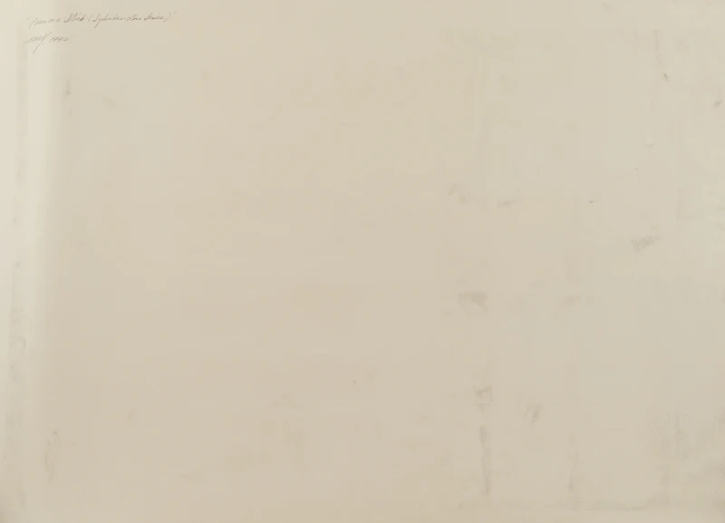 Frank Nulf, Roses on a Stick (Sydenham Rose Series), watercolur and graphite, 1990 - view 3
