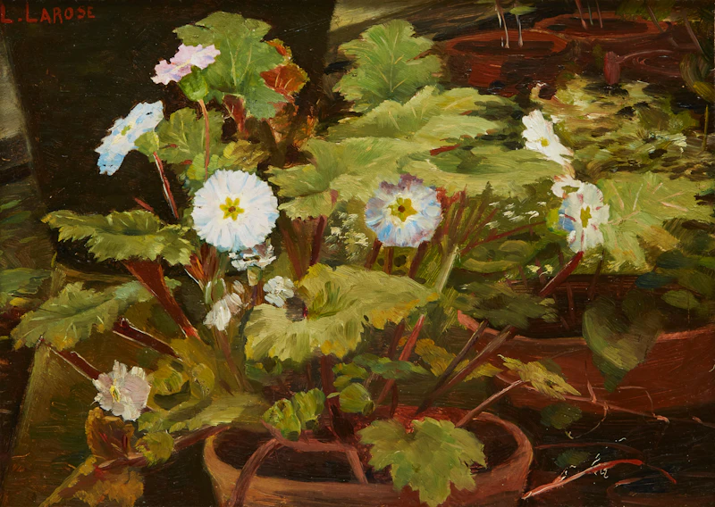 Ludger Larose, Primroses