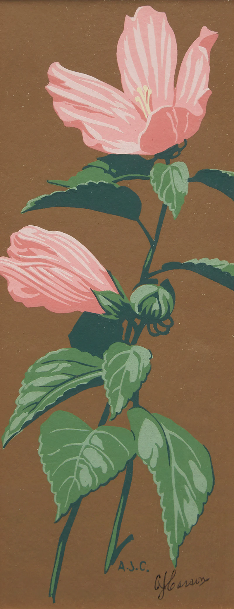 Alfred Joseph Casson, Moneywort, Swamp Rose Mallow