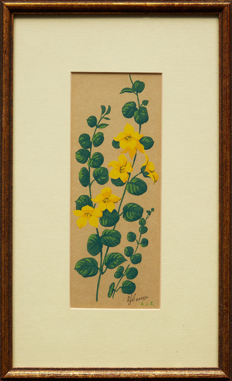 Alfred Joseph Casson, Moneywort, Swamp Rose Mallow, two colour silkscreens - view 5