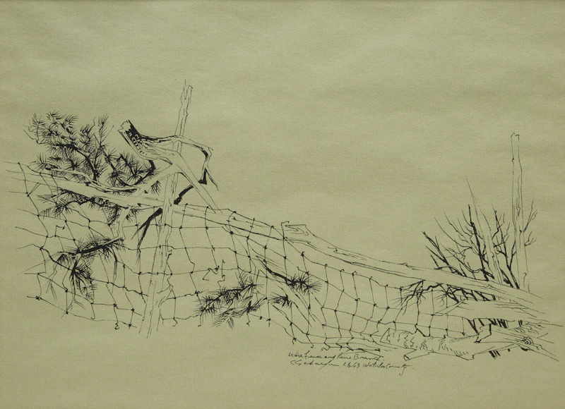 Wire Fence and Pine Branch, Waterloo County by Carl Fellman Schaefer