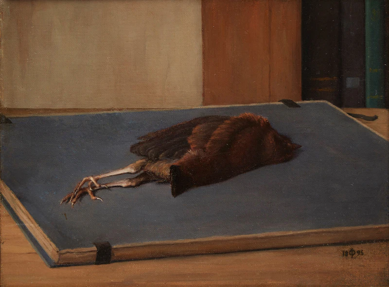 Nature morte à l’oiseau by 19th Century Canadian School