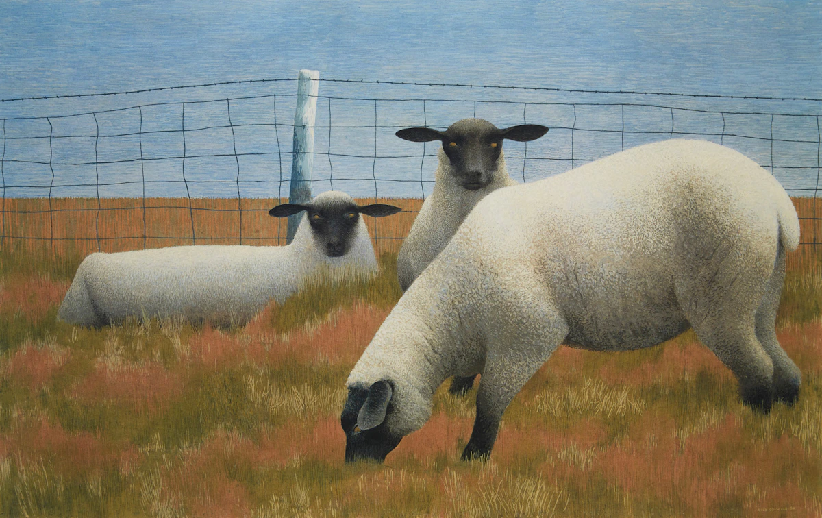 David Alexander Colville, Three Sheep, colour photolithograph