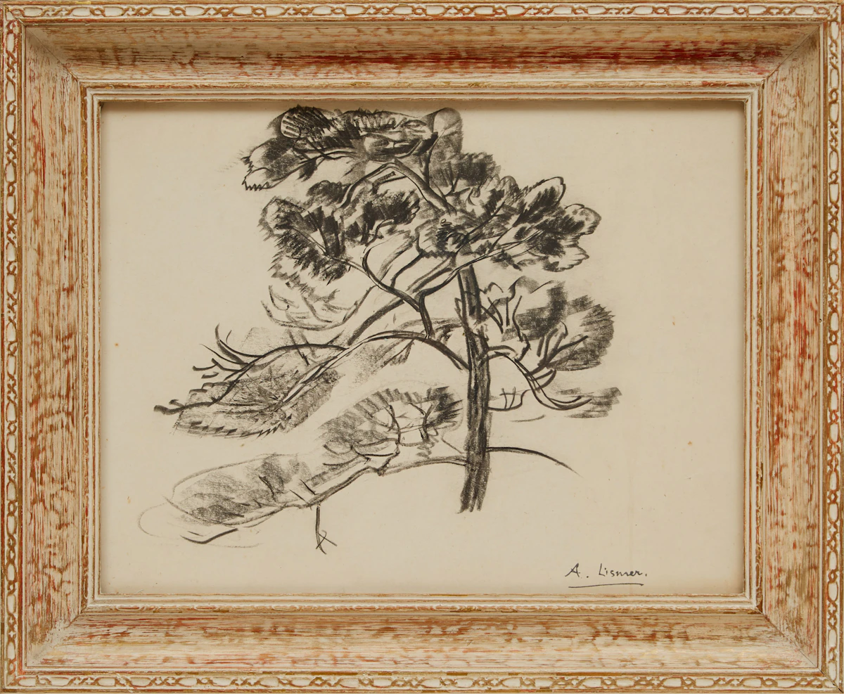Arthur Lismer, Jack Pine, charcoal drawing