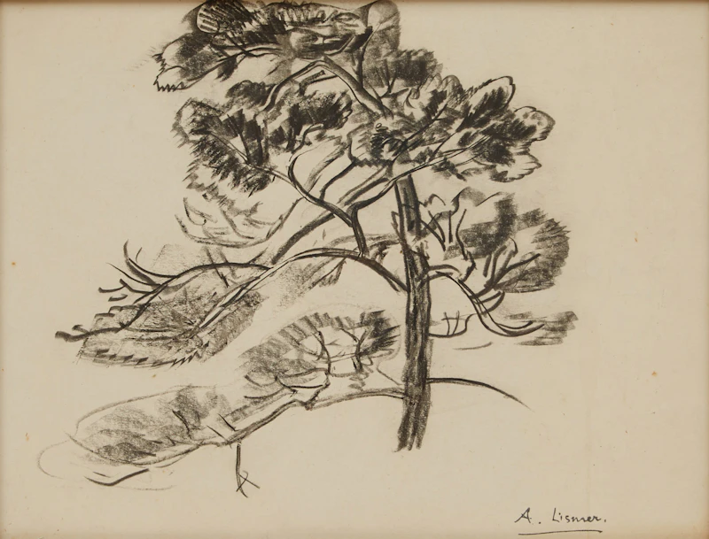 Arthur Lismer, Jack Pine, charcoal drawing - view 3