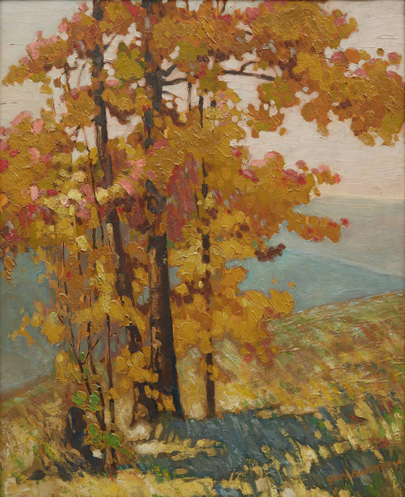 Greg Harkley, Autumn Colours, oil on board - view 2