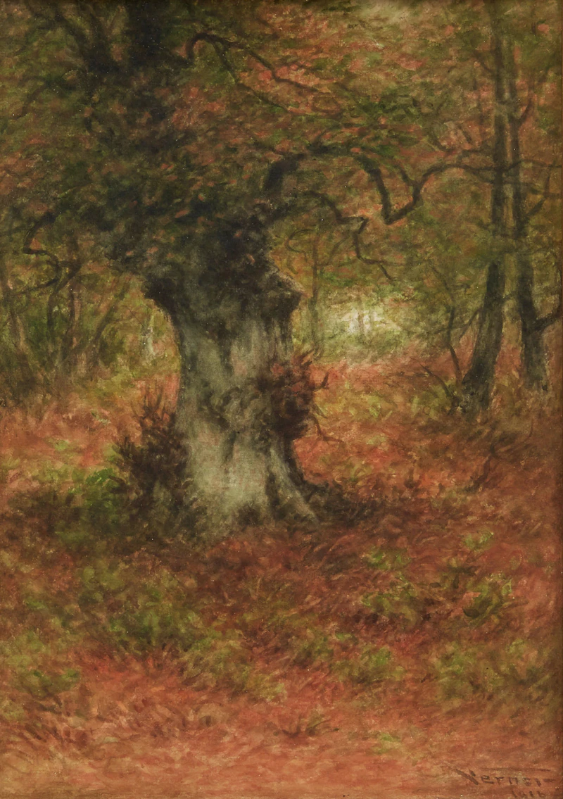 Frederick Arthur Verner, An Old Birch Tree, watercolour, 1916 - view 2