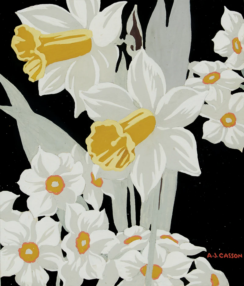 Alfred Joseph Casson, Daffodils 