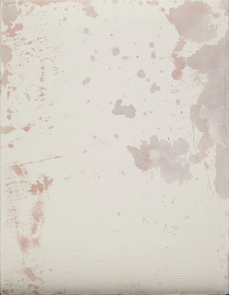 Carl Beam, Untitled (Encyclopedia of the American West), mixed media print - view 2