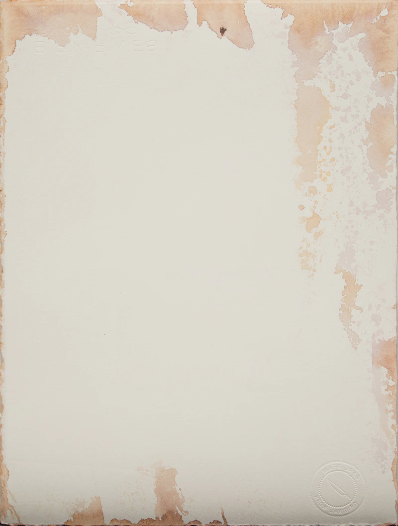 Carl Beam, Untitled (Curtis, Bear & The Solar System), mixed media print - view 2