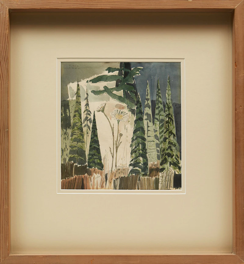Bruno Joseph Bobak, Daisies, watercolour and ink, 1952 - view 2