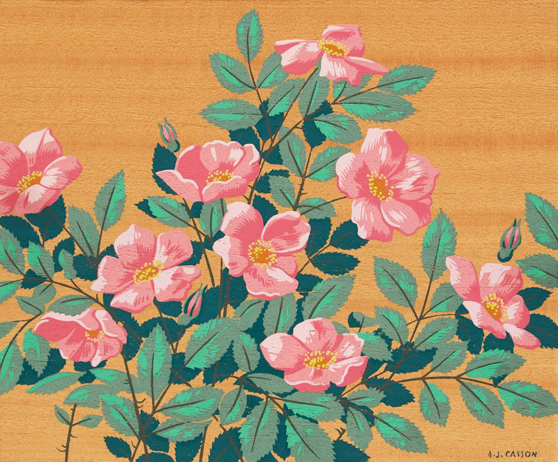 Alfred Joseph Casson, Hepatica; Rugosa Rose, two silkscreens on veneer - view 4