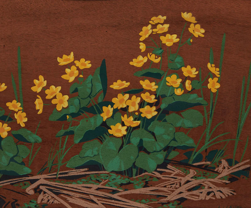 Alfred Joseph Casson, Lady Slipper Orchids; Marsh Marigolds, two silkscreens on veneer - view 4