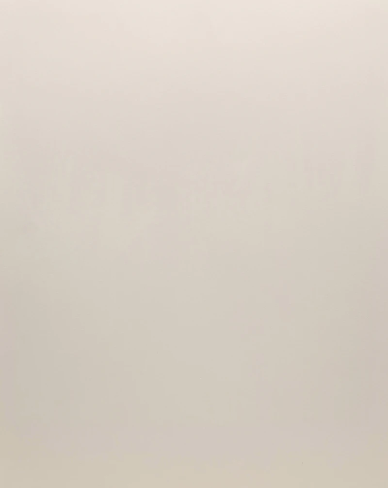 Boris Bucan, Fire Bird, colour silkscreen, 1983 - view 3