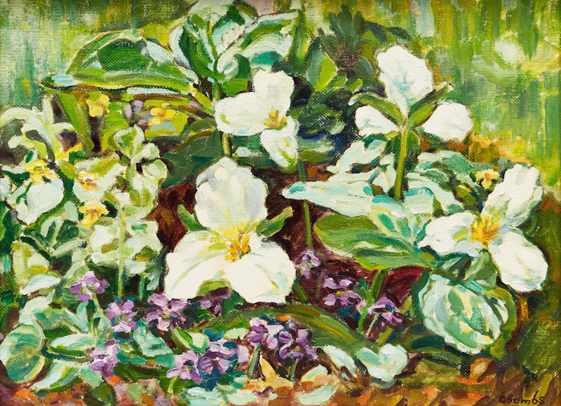A Spring Galaxy by Edith Grace Coombs
