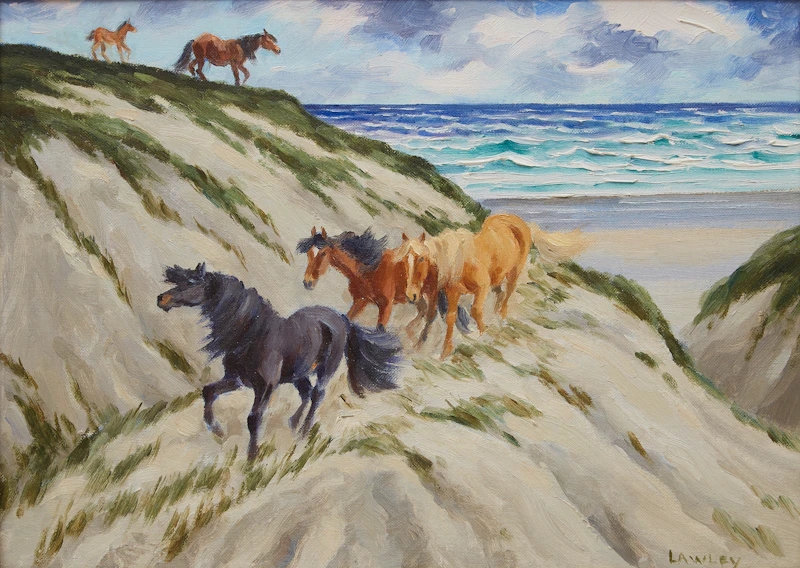 John Douglas Lawley, Sable Island, oil on canvas board - view 2