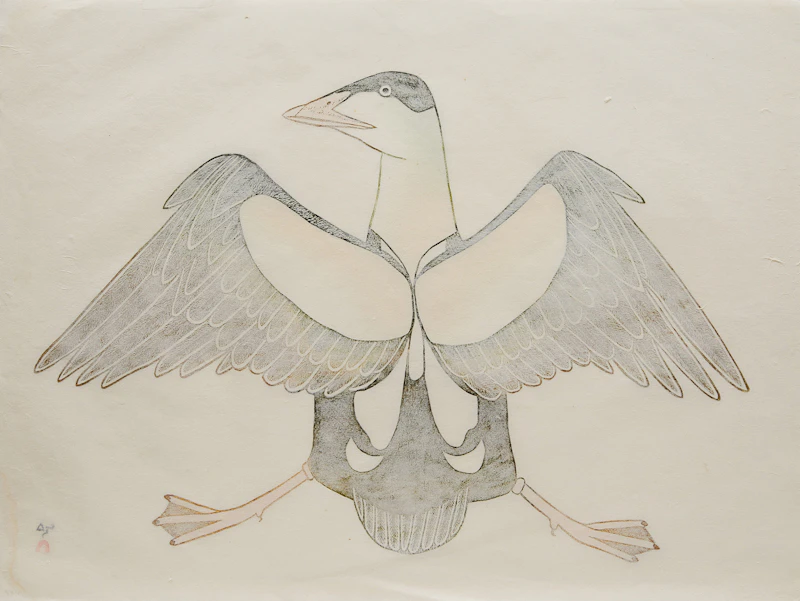 Kananginak Pootoogook, Courting Bird, stonecut and stencil, 1988 - view 2