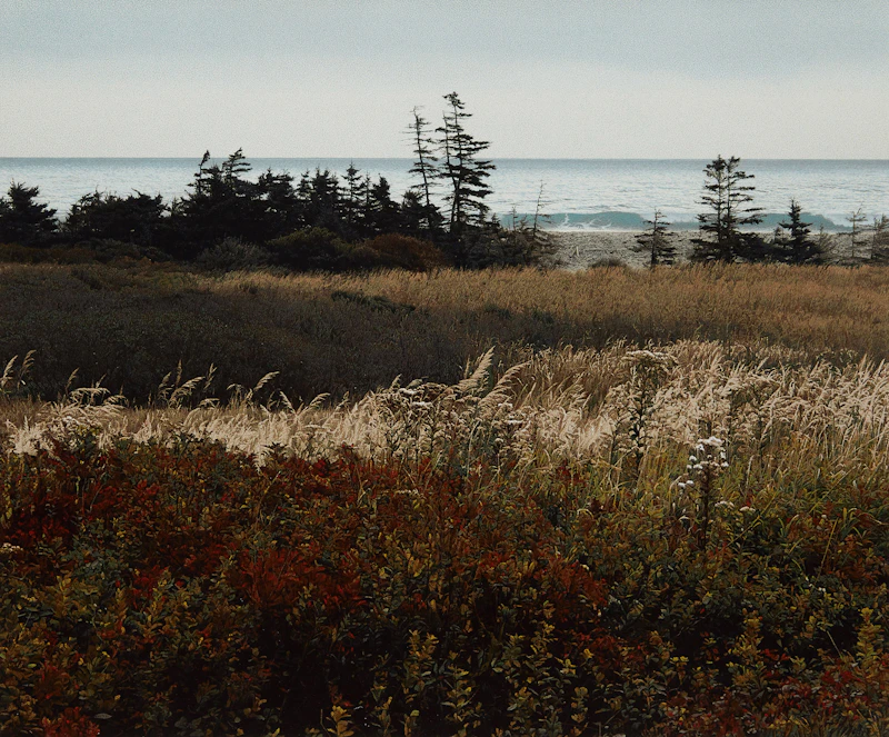 Hartling Bay by Richard Thomas Davis