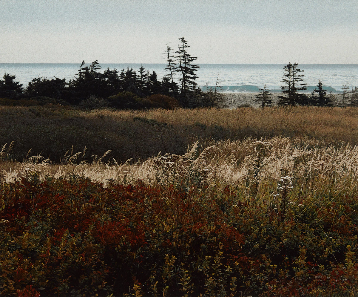 Richard Thomas Davis, Hartling Bay, screenprint in colour, 1993