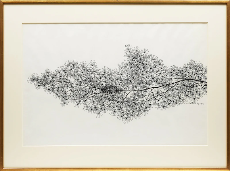 Jacques Hnizdovsky, Pine Branch, ink drawing, 1961 - view 2