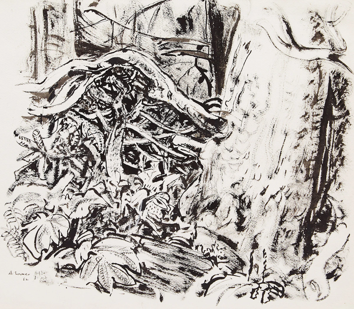 Arthur Lismer, Untitled (Tree Study) , pen and wash on paper, 1962