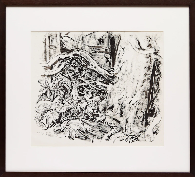 Arthur Lismer, Untitled (Tree Study) , pen and wash on paper, 1962 - view 2