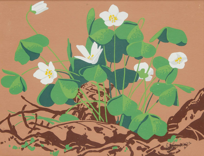 Alfred Joseph Casson, Trillium, Wood Sorrel, Dogwood, three colour silkscreens - view 7