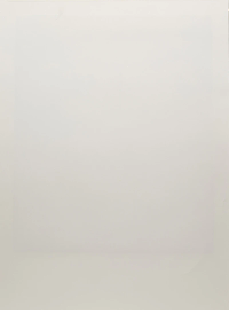 Carl Beam, Fragile Skies, colour serigraph - view 3