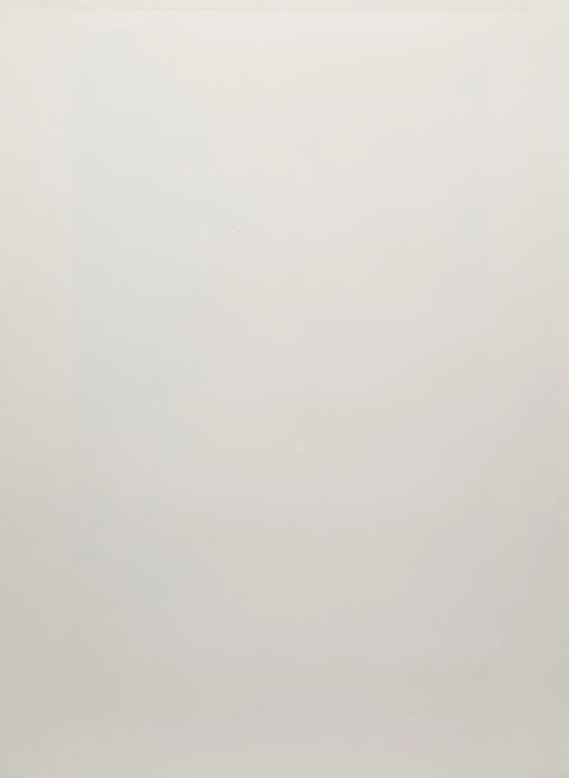 Carl Beam, Two Kinds of Power, colour serigraph - view 3