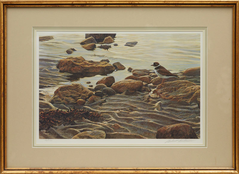 Robert Bateman, Flight of the Plover