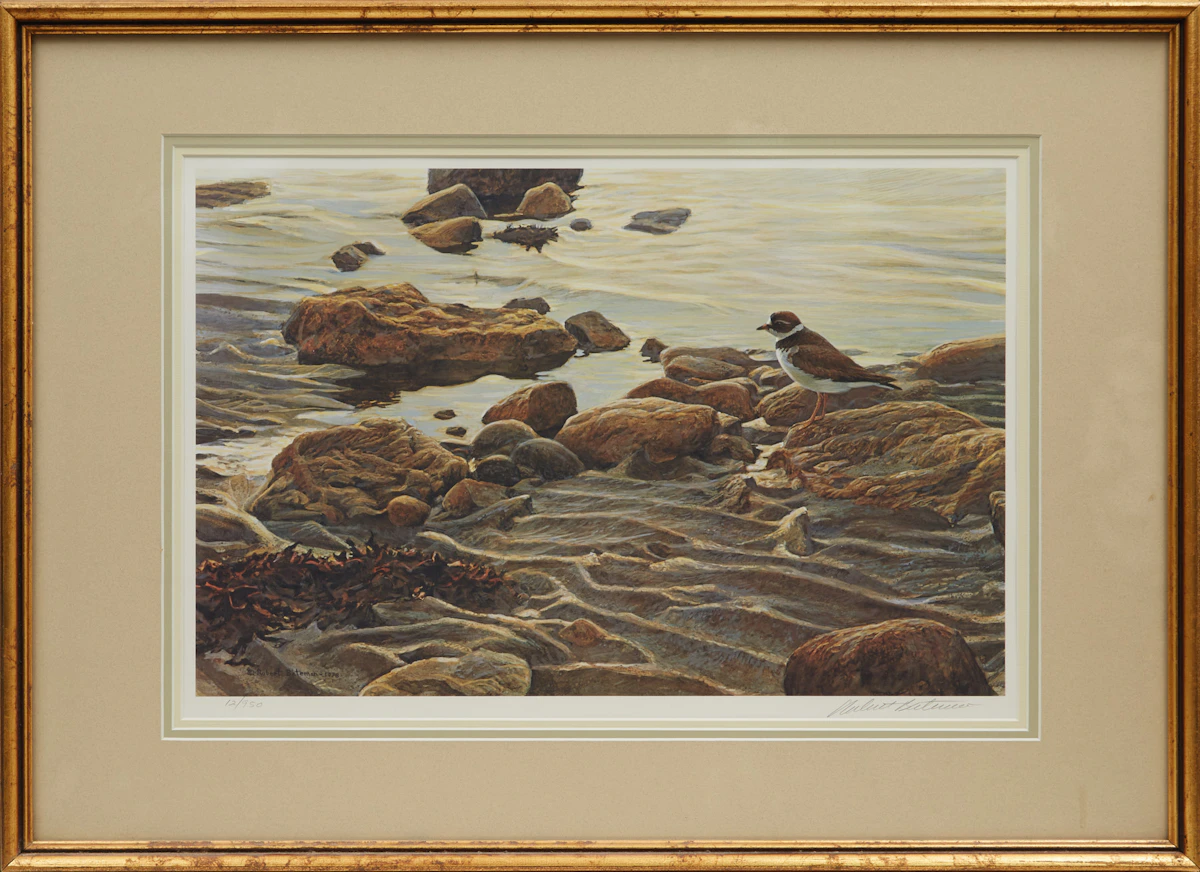 Robert Bateman, Flight of the Plover, offset lithograph