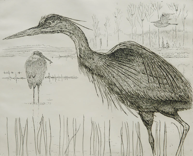 Great Blue Herons #2 by Eric Nasmith
