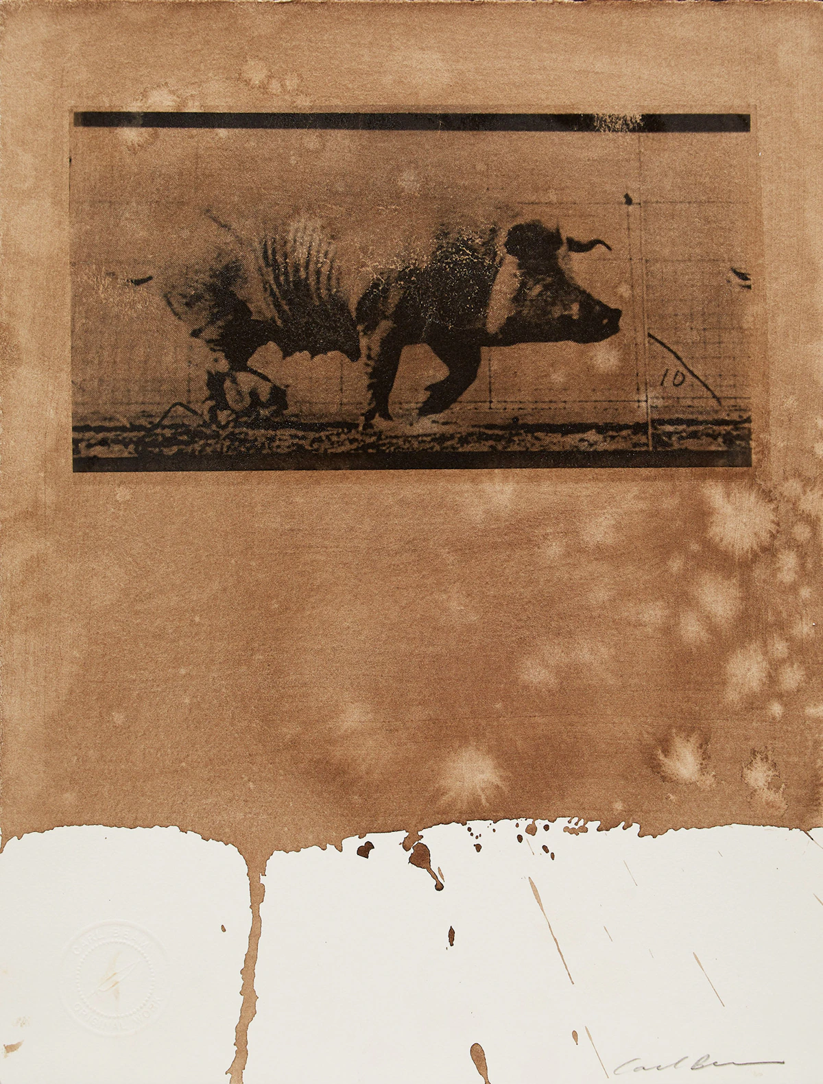 Carl Beam, Untitled (Pig), mixed media print