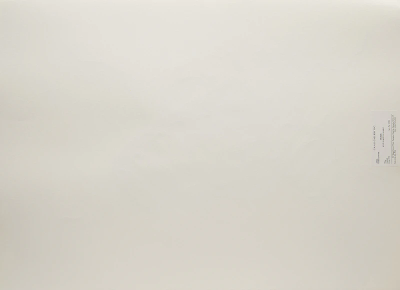 Richard Bedwash, Untitled, acrylic on paper - view 2