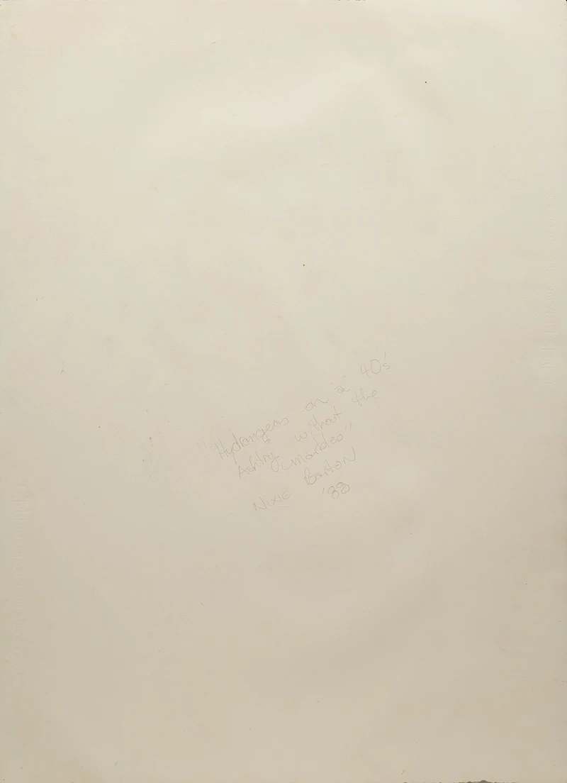 Nixie Barton, Hydrangeas on a 40s Ashtray Without the Marbles, oil on paper, 1988 - view 2