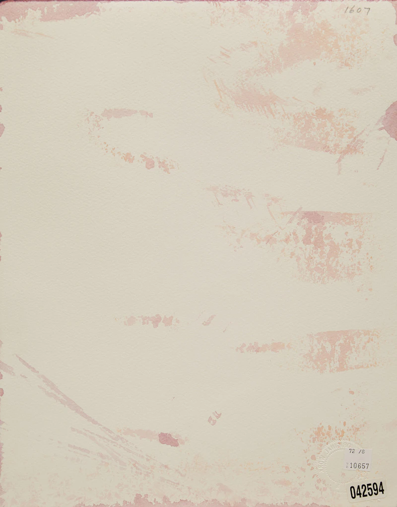 Carl Beam, La Rosa, mixed media print - view 2